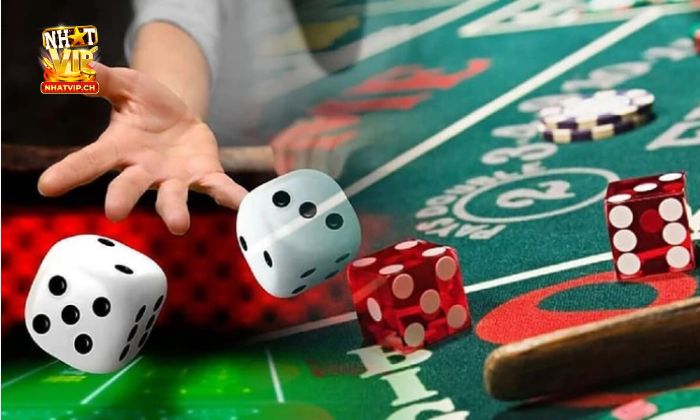 Những lưu ý khi tham gia đặt cược tại Sicbo Tài Phú